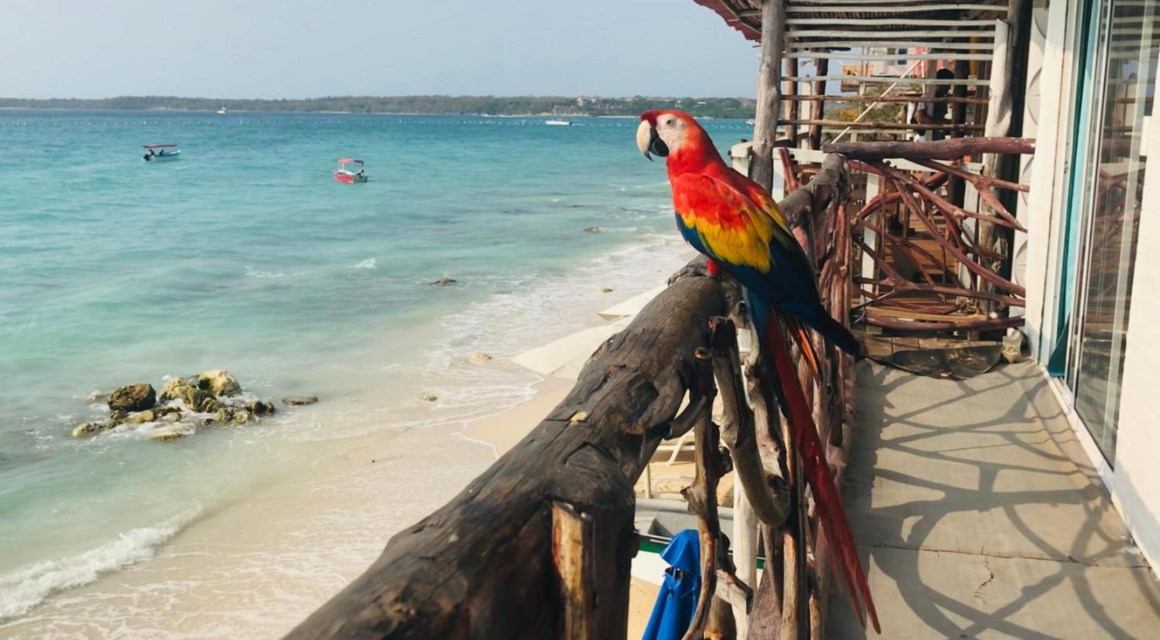 Hostal Lamar Baru Donde Gertrudis Playa Blanca Exteriör bild