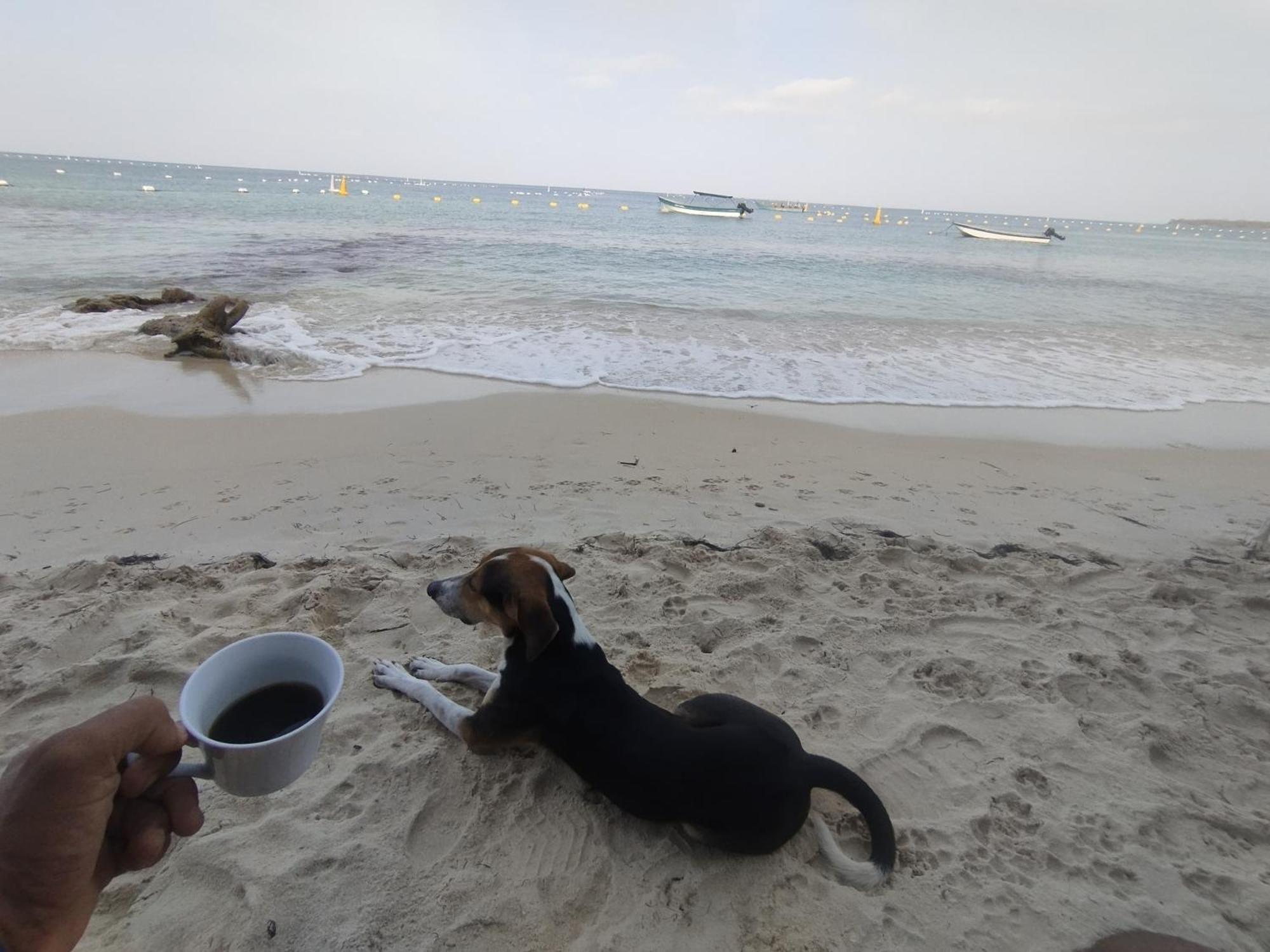 Hostal Lamar Baru Donde Gertrudis Playa Blanca Exteriör bild